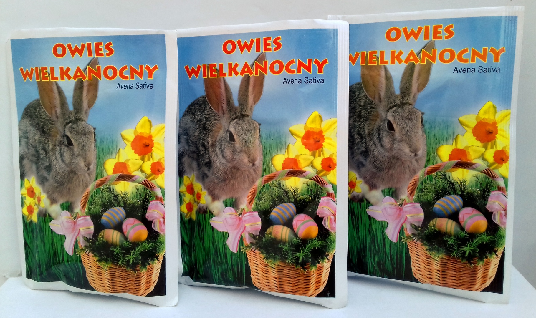 Owies Wielkanocny